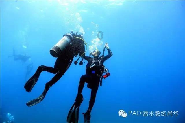 数九天养骨|请查收五九天的养骨药膳