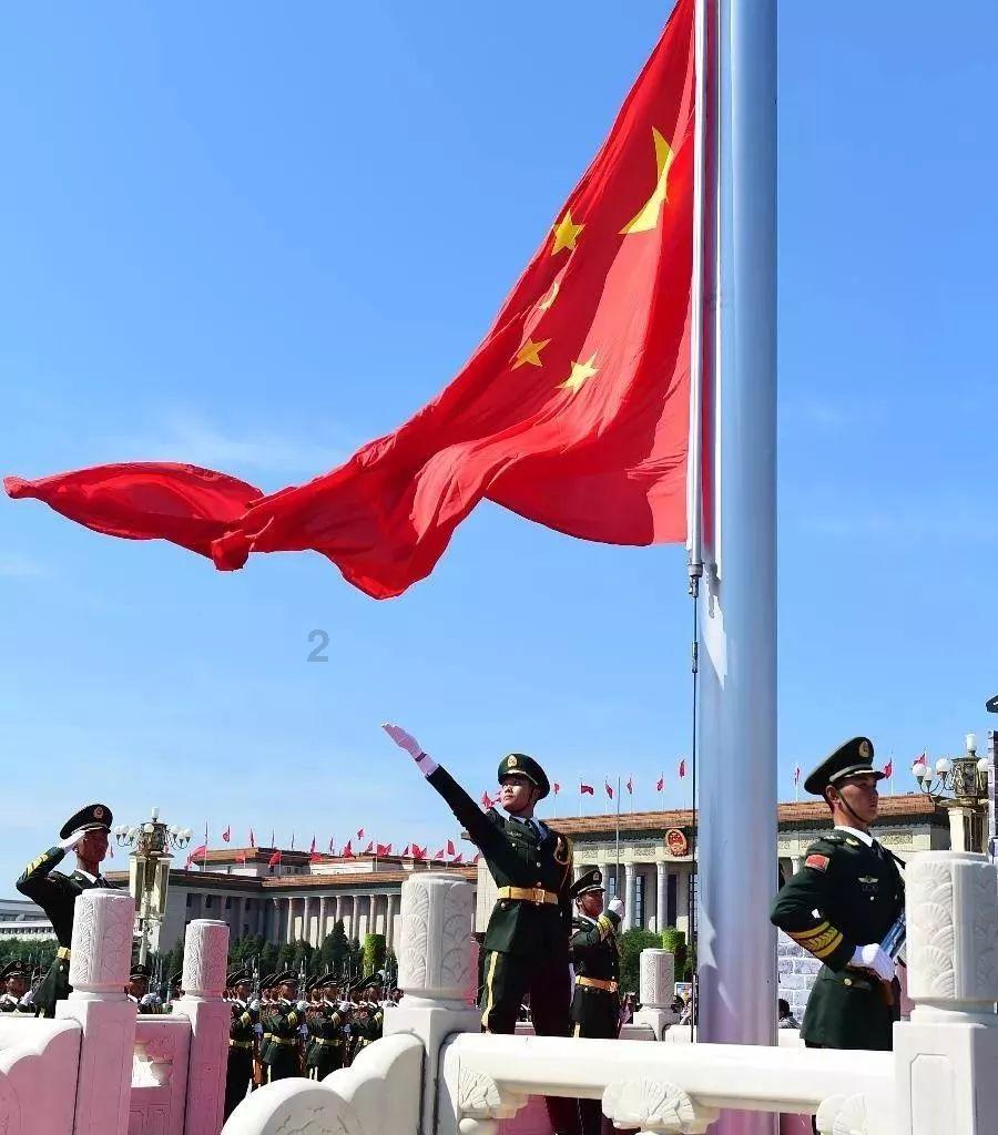 飞机撞上鸟群,客舱充满焦味游客失声尖叫,谁该为这事“买单”?-你遇到的问题都能在这里找答案